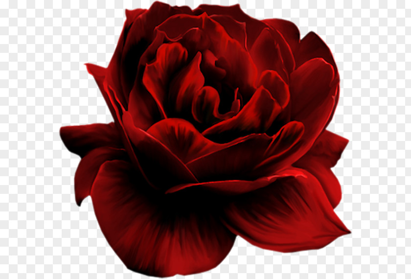 Flower Red Clip Art PNG