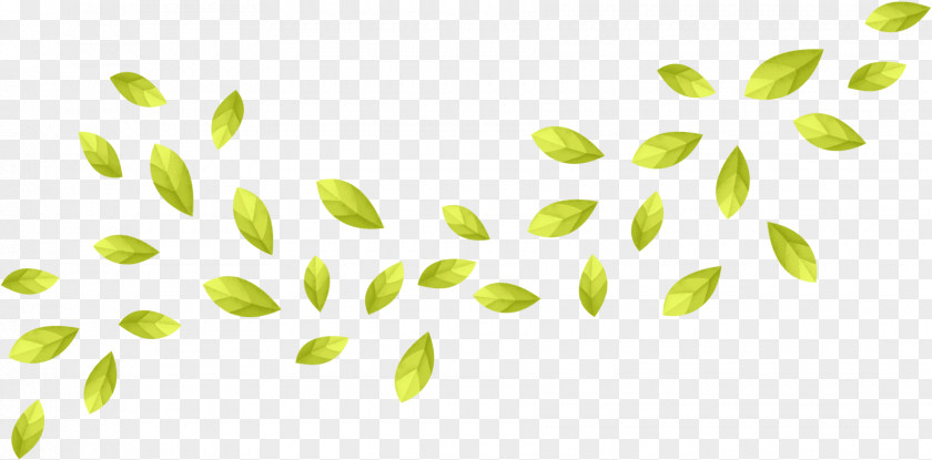 Guava Leaf Computer Software Plant Stem Flickr Petal PNG