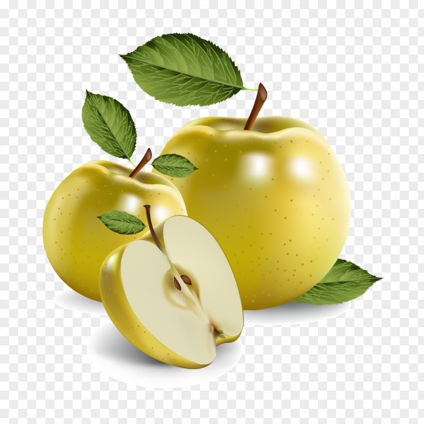 Vector Apples And Leaves Fruit Euclidean Clip Art PNG