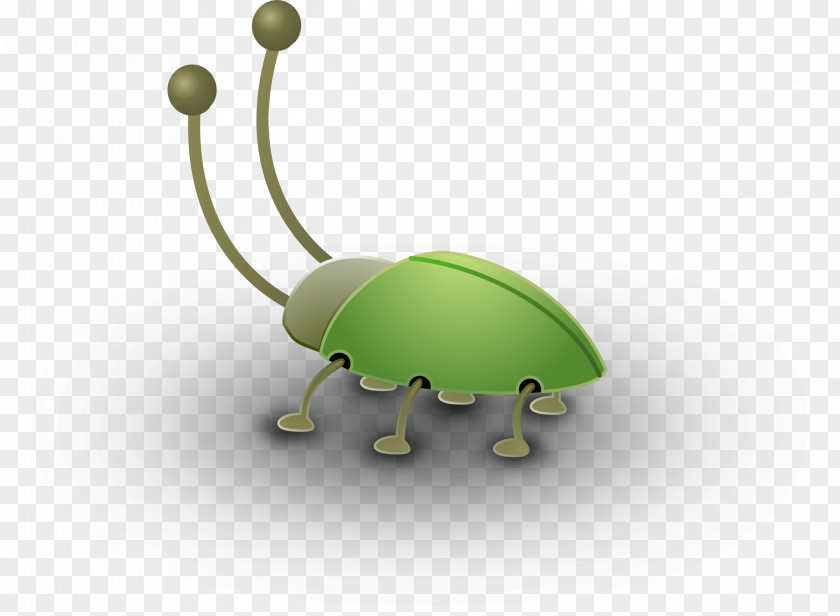 Bugs Beetle Green Stink Bug Software Clip Art PNG