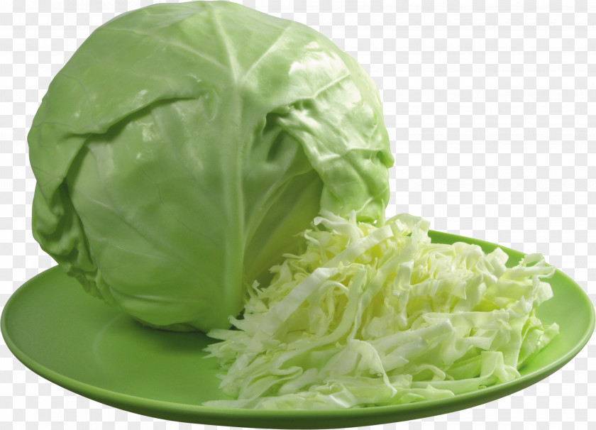Cabbage Cauliflower Kapusta Kiszona Duszona Vegetable Sauerkraut PNG