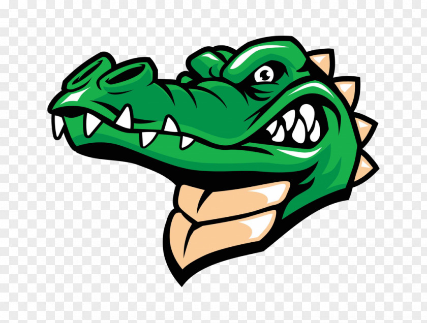 Crocodile Vector The Alligator Clip Art PNG