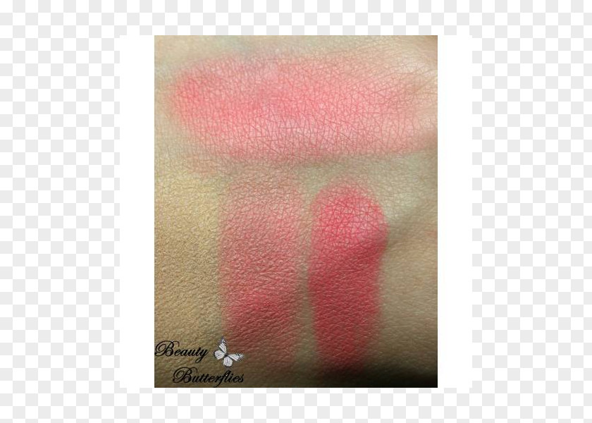 Estee Lauder Lipstick Pink M Eyelash PNG