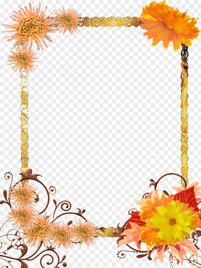 Flower Floral Design Picture Frames PNG