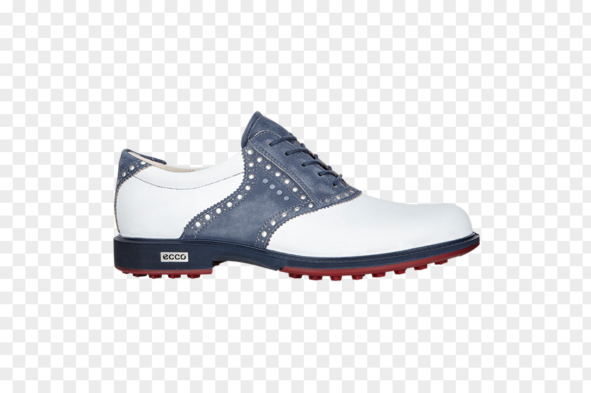 Golf ECCO Dress Shoe Sneakers PNG