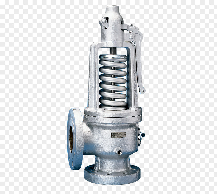 Relief Valve Safety Control Valves Rupture Disc PNG