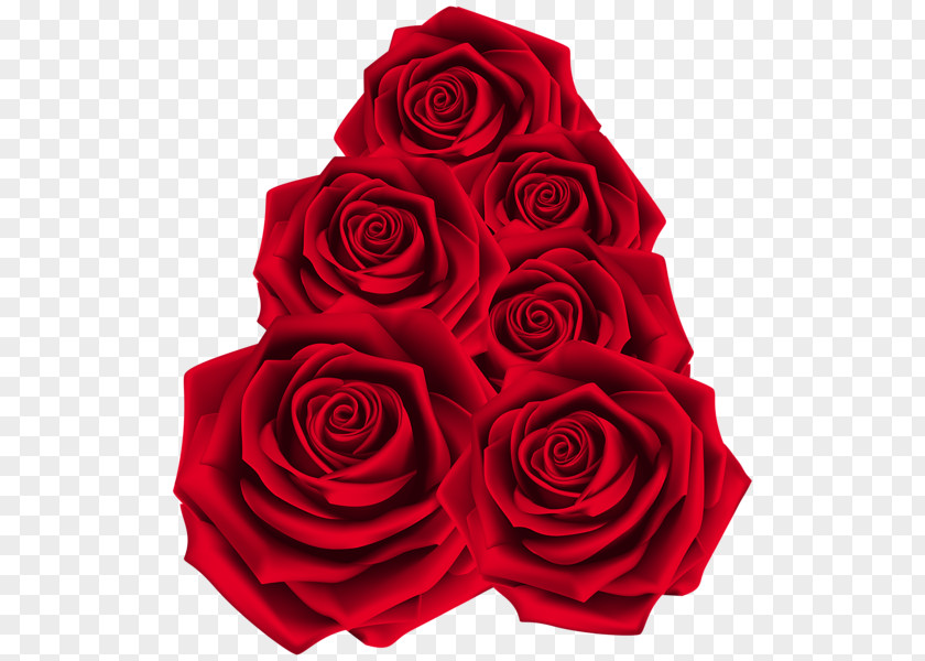 Rose Garden Roses Raster Graphics PNG