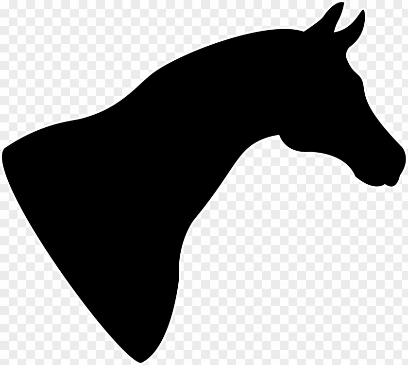 Silhouettes Horse Head Mask Clip Art PNG