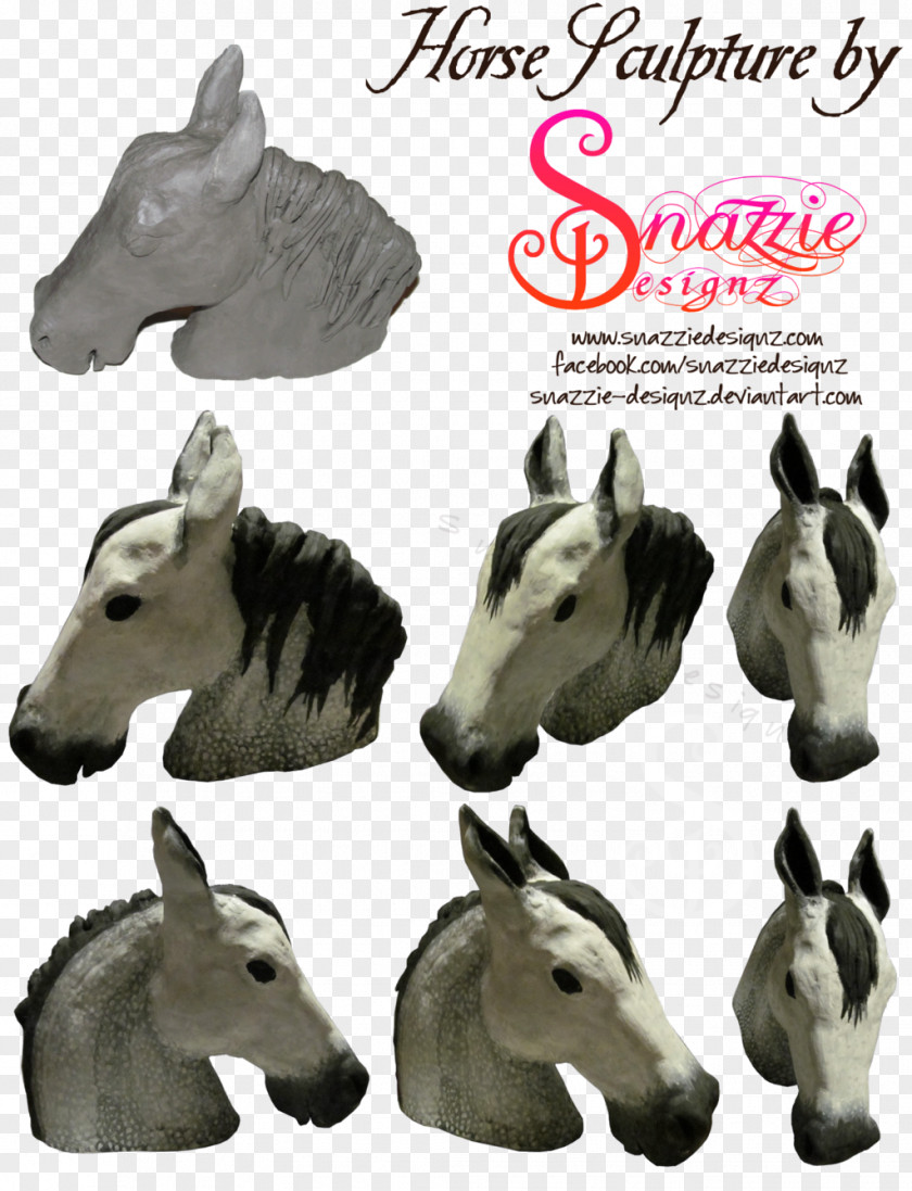 Statue Head Mustang Donkey Pack Animal Horse Tack Wildlife PNG