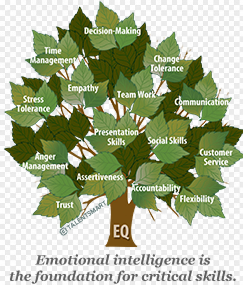 The Emotional Intelligence Appraisal Skill PNG