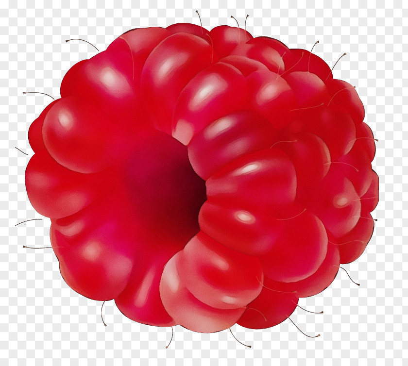 Currant Food Watercolor Balloon PNG