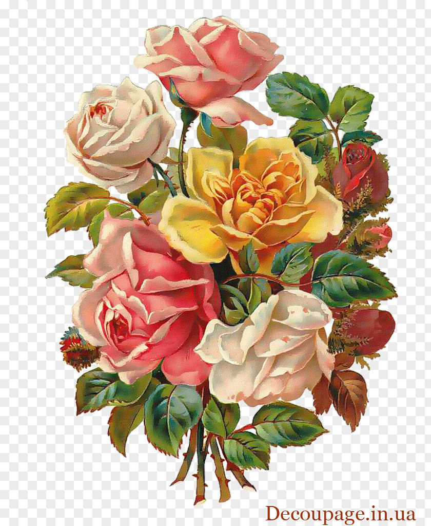 Flower Vintage Bouquet Rose Floral Design Clip Art PNG