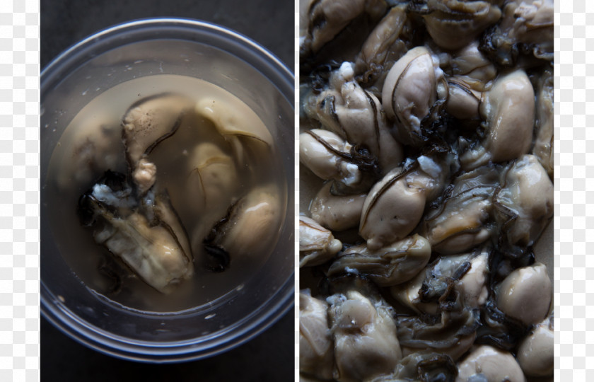 Oysters Mussel Clam Oyster Recipe Ingredient PNG
