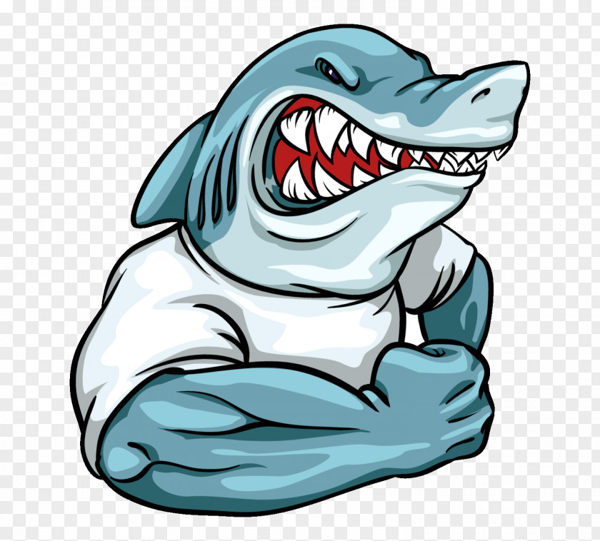 Sharks Shark Logo Mascot PNG
