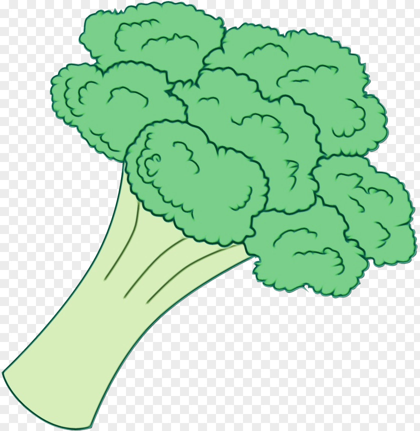 Vegetable Leaf Green Cruciferous Vegetables Broccoli Plant PNG