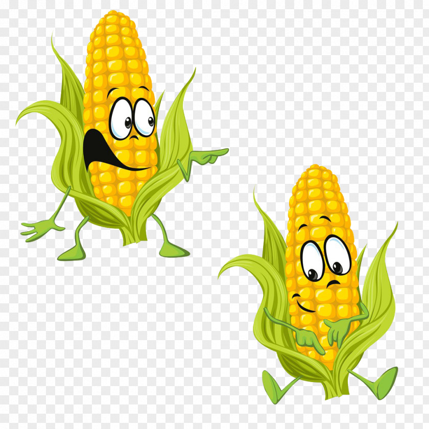Corn Cartoon Maize Drawing PNG