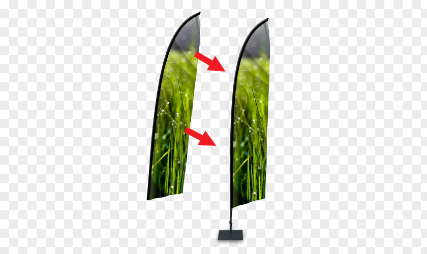 Leaf Grasses PNG