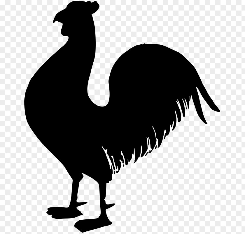 Rooster Chicken PNG