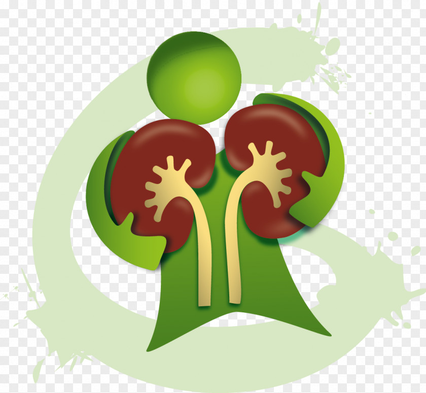 Violeta Parr Green Organism Clip Art PNG