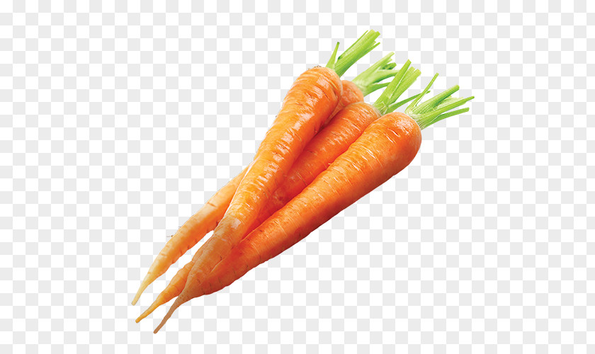 Carrot Organic Food Baby PNG