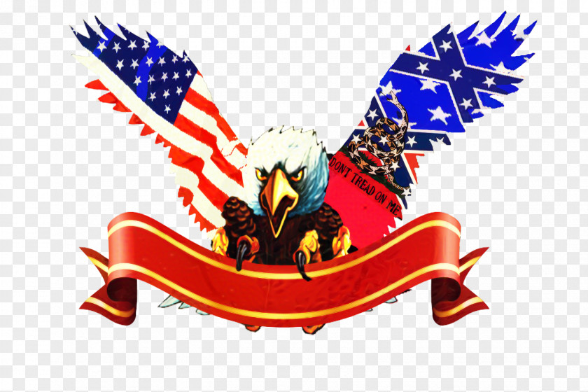 Flag Of The United States Eagle PNG