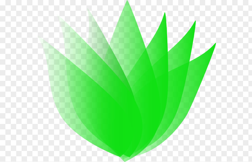 Lotus Leaf Desktop Wallpaper Download Clip Art PNG