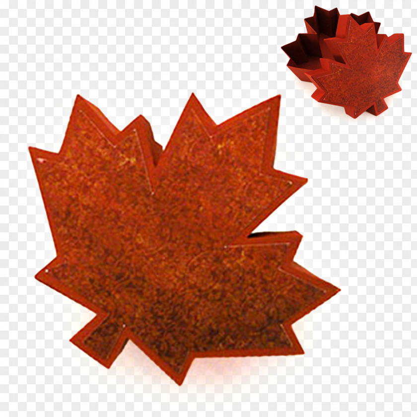 Maple Leaf Information Shape PNG