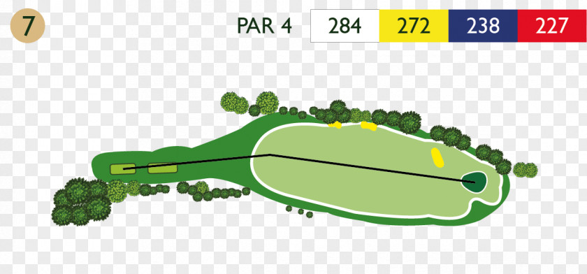 Afforest Golf D'Abbeville Course Tawny Owl PNG