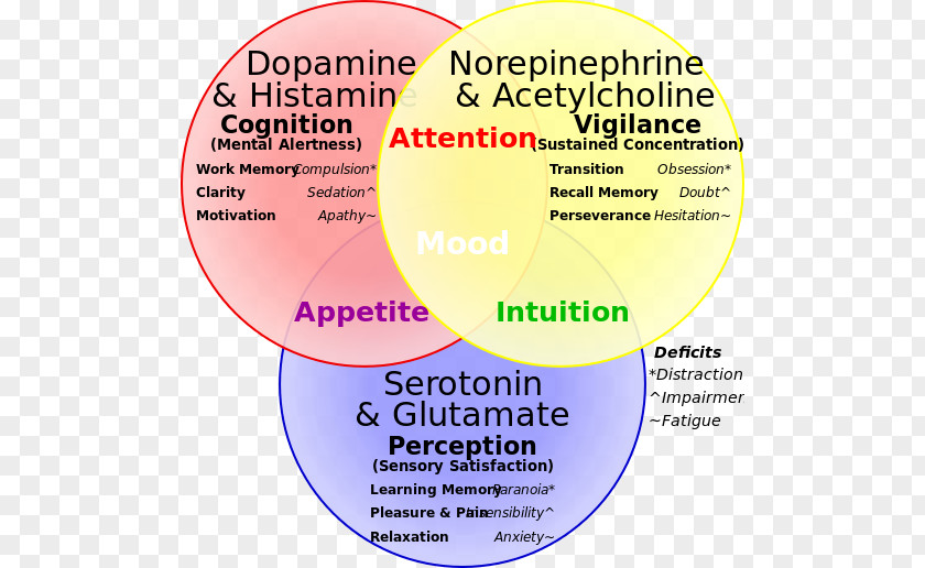Brain Neurotransmitter Serotonin–norepinephrine–dopamine Reuptake Inhibitor PNG