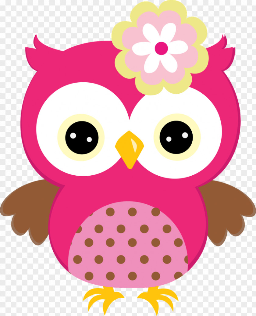 Kiwi Bird Owl Clip Art PNG