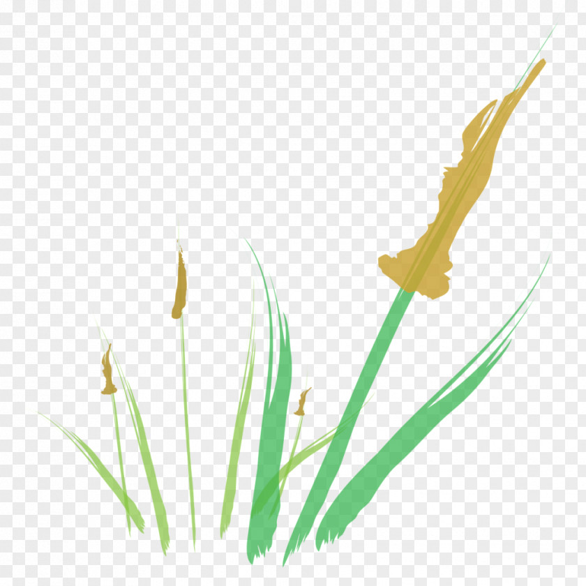 Leaf Grasses Desktop Wallpaper Plant Stem Petal PNG