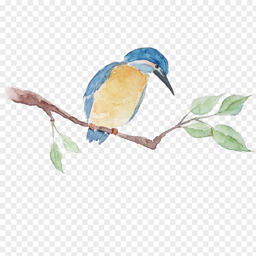 Tree Bird Download Computer File PNG