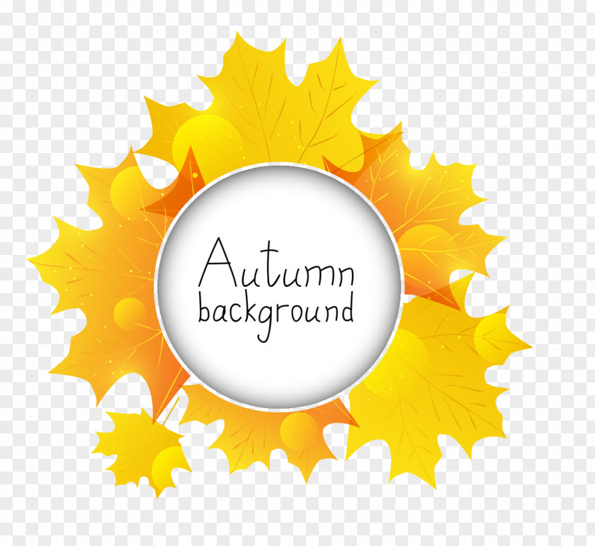 Autumn Background Elements Leaves Leaf PNG