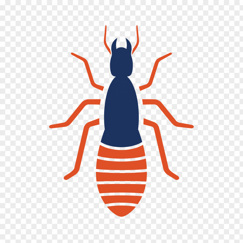 Beetle Varied Carpet Pest Control Invertebrate Flea PNG