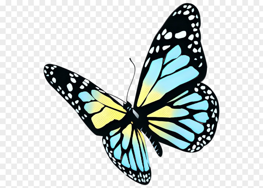Butterfly Stock Illustration Image Clip Art PNG