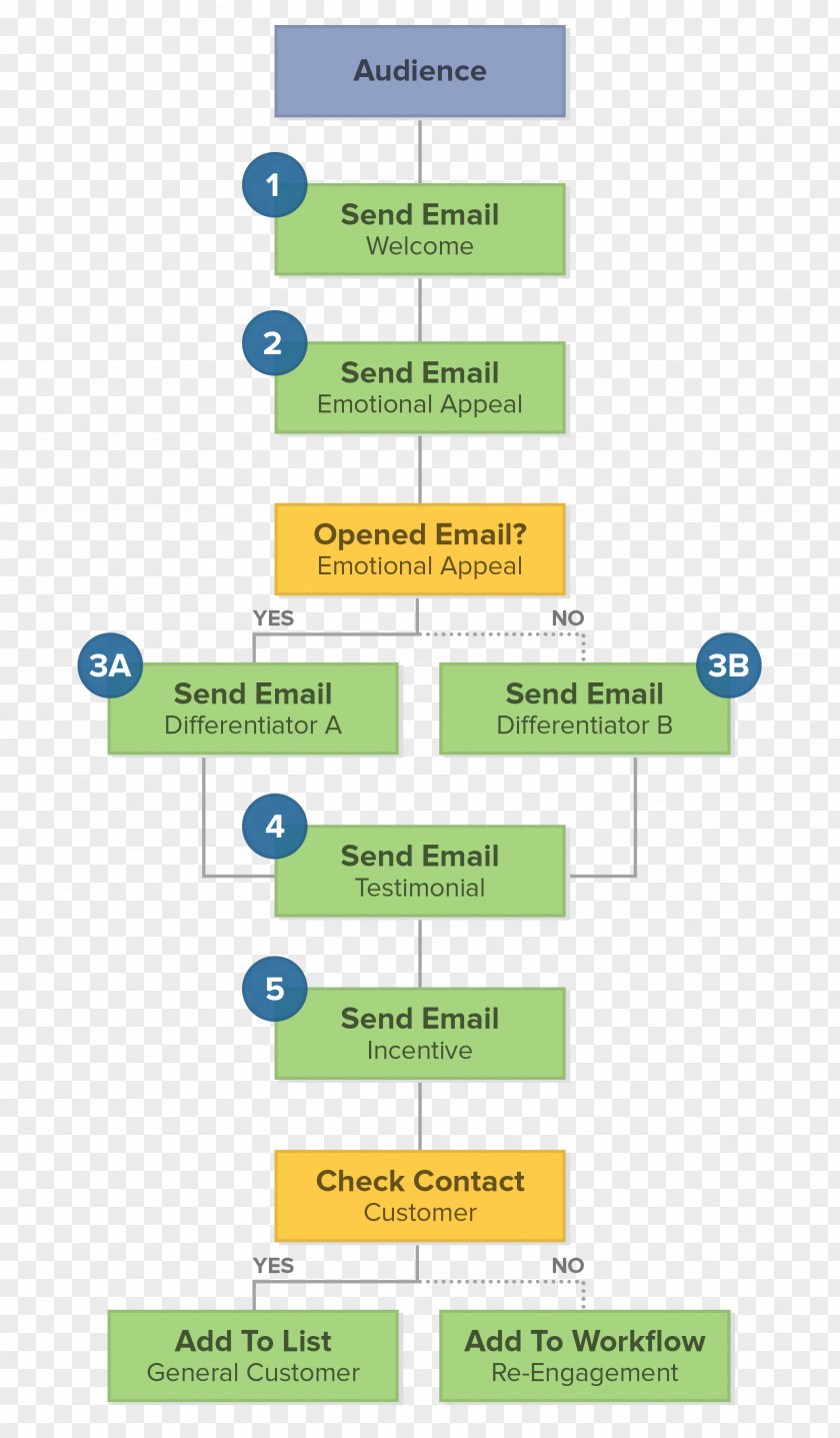 Design Brand Organization PNG