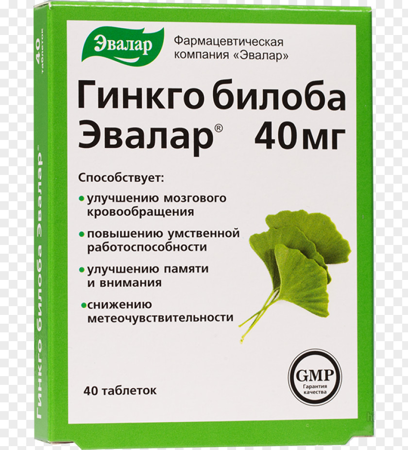 Gingko Biloba Maidenhair Tree Evalar Glycine Tablet PNG