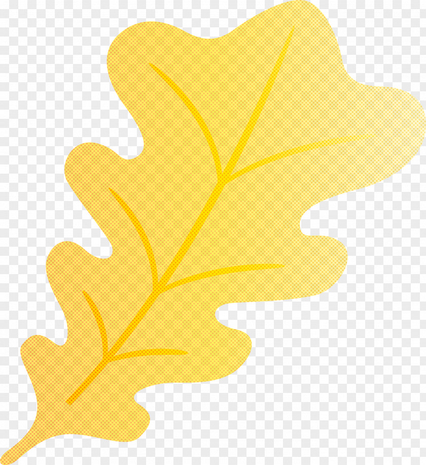 Oak Leaf PNG