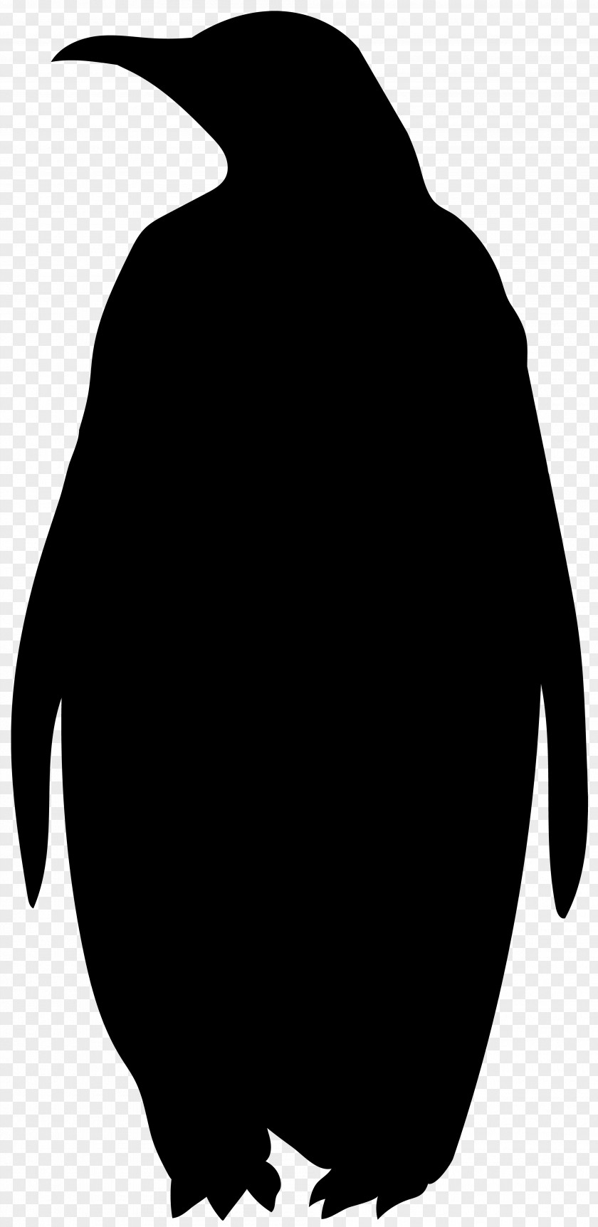 Penguin Clip Art Silhouette Fauna Beak PNG