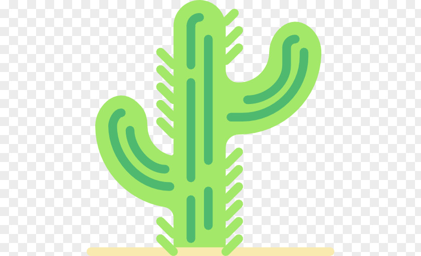 Cactus Icon PNG