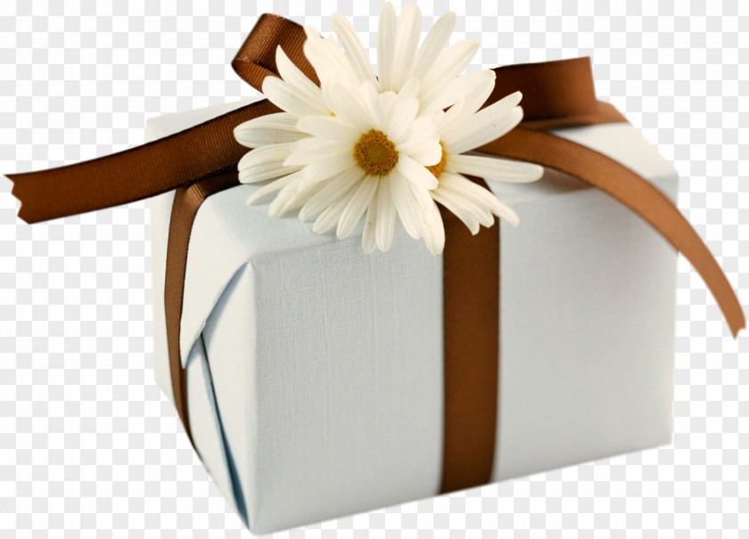 Camomile Gift Wrapping Box Desktop Wallpaper PNG