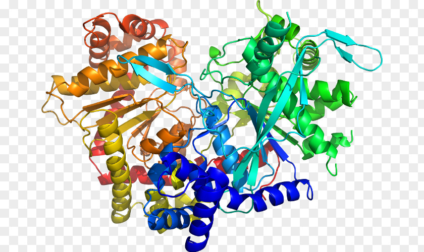 Glycogen Phosphorylase Ligand Docking Organism Thermodynamic Free Energy Clip Art PNG