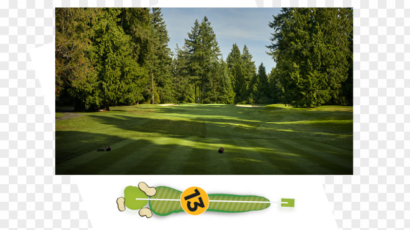 Golf Clubs Course Biome Meadow PNG