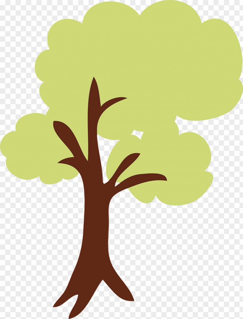 Leaf Tree Plant Branch Stem PNG