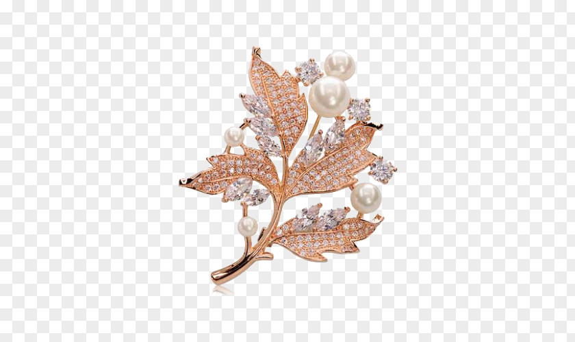 Maple Leaf Brooch Jewellery Human Body PNG