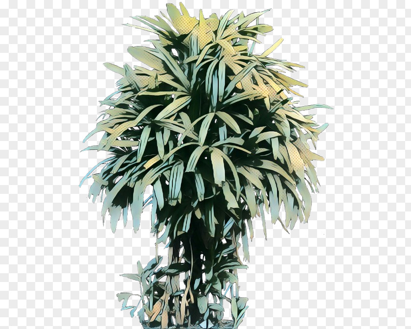 Palm Trees Flowerpot Houseplant PNG