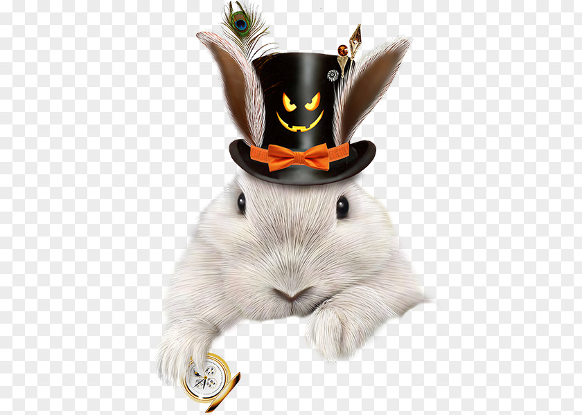 Rabbit Hat Domestic European PNG