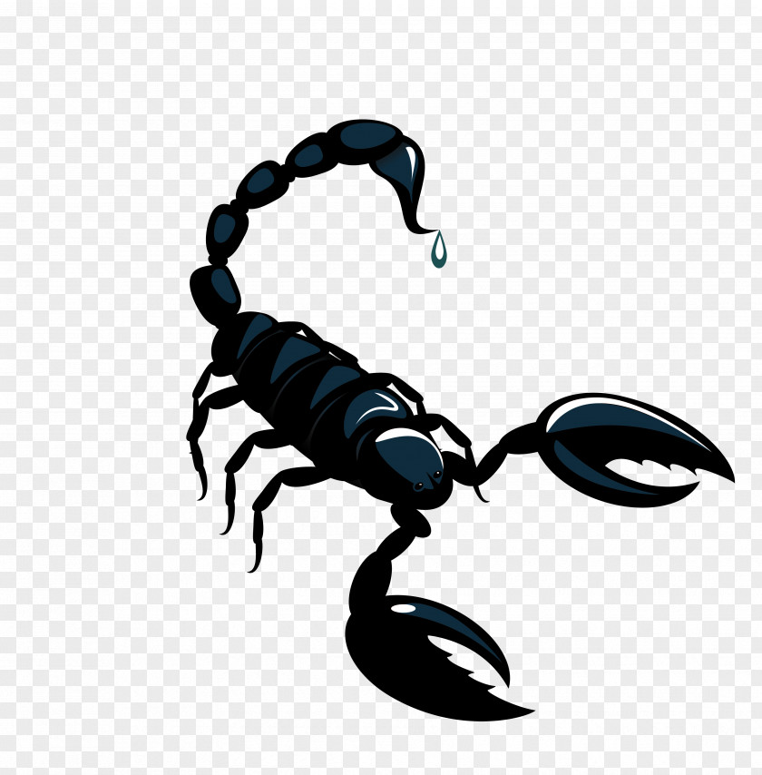Vector Black Scorpion Material Astrological Sign Horoscope Astrology PNG