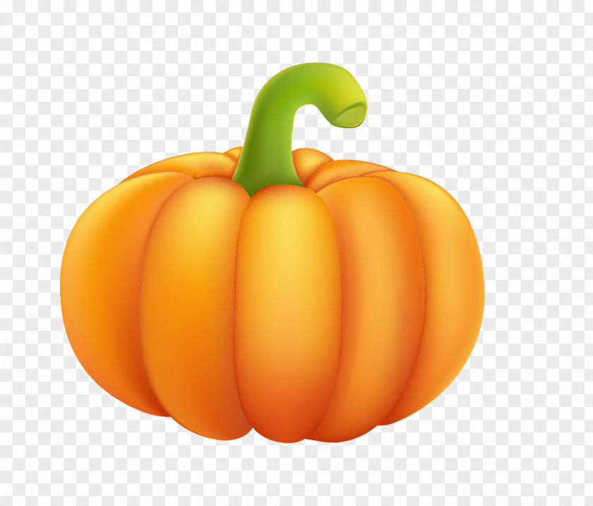 Cartoon Painted Yellow Ripe Pumpkin Calabaza Vegetarian Cuisine Pepper Winter Squash PNG