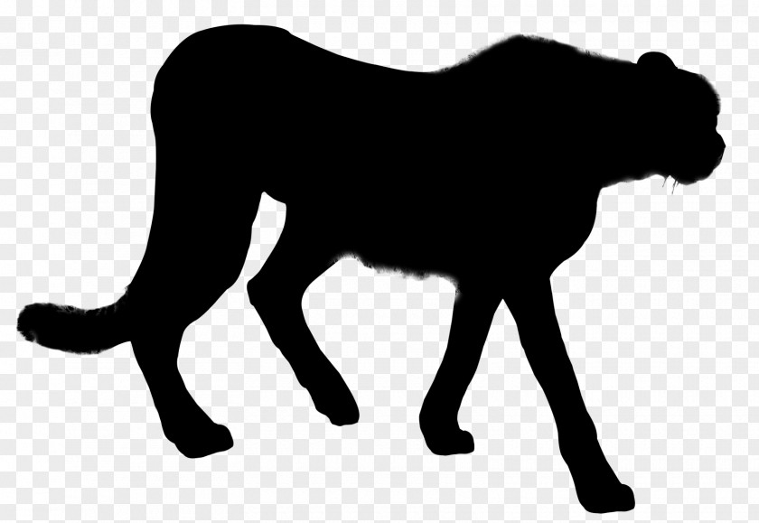Lion Dog Cat Mammal Horse PNG